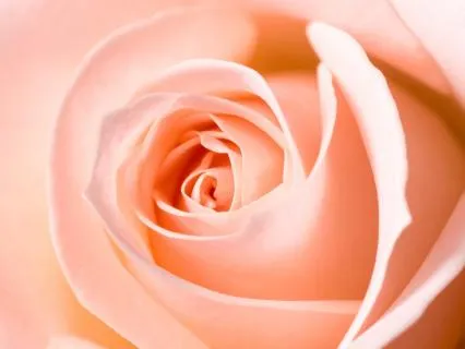 A Moment Of Beingness And Wholeness