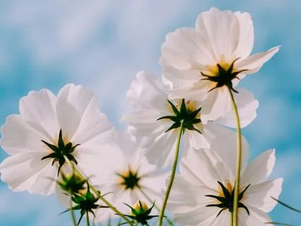 A Moment Of Calm – Peaceful Piano