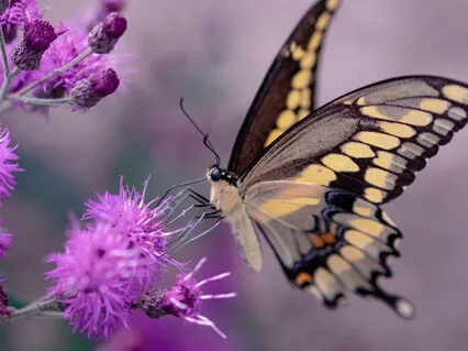 A Moment Of Creation 