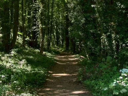 A Moment Of Deep Rest