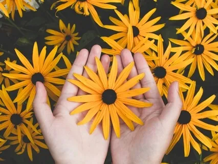 A Moment Of Gratitude