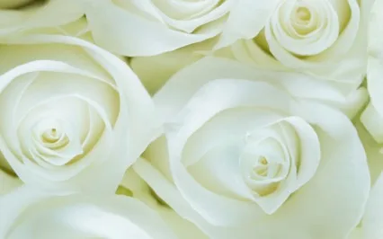 A Moment Of Gratitude