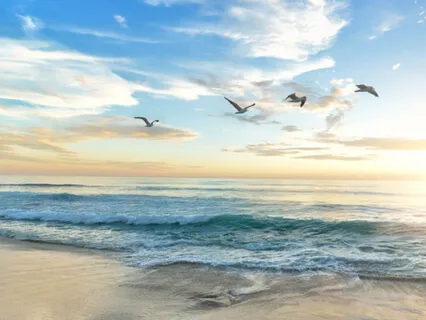 A Moment Of Gratitude - The Breath