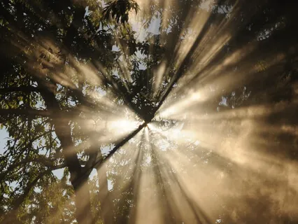 A Moment Of Gratitude - World Mental Health Day