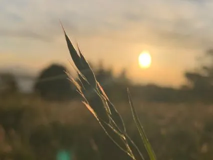 A Moment of Kindness for Yourself
