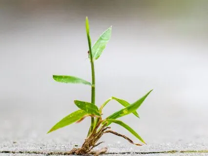 A Moment Of Loving-Kindness: Quick 6-Minute Meditation