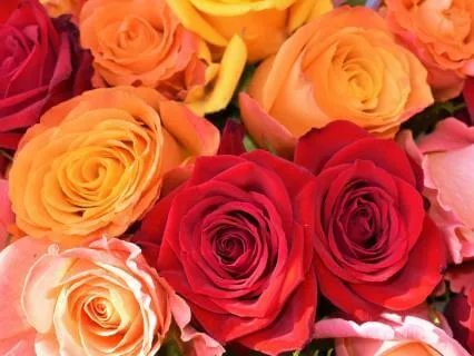 A Moment Of Magic - A Bundle Of Blessings For Your Day