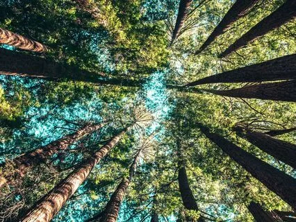 A Moment Of Mindfulness