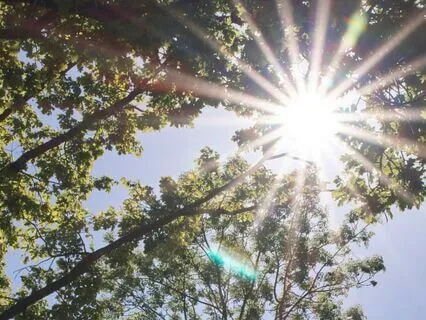 Connect With Your True Self