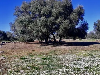 A State Of Presence In Love And Gratitude