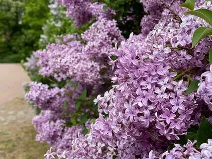 A Moment Of Rest During The Day – Breathing Meditation