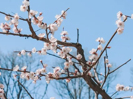 A Moment Of Self-Compassion