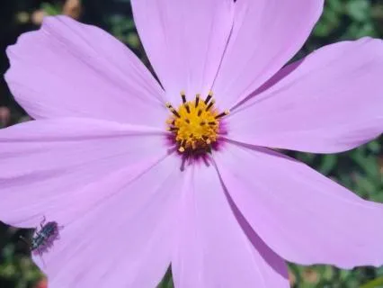 A Moment Of Self Love