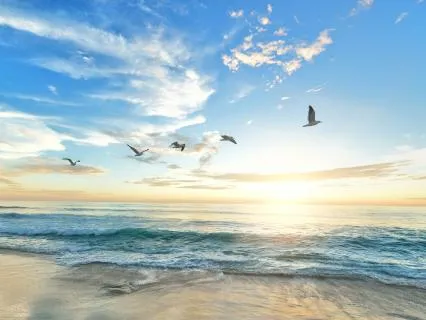A Moment Of Stillness Speaking