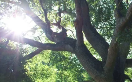 A Moment To Breathe Calm