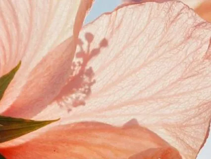 A Moment To Check In