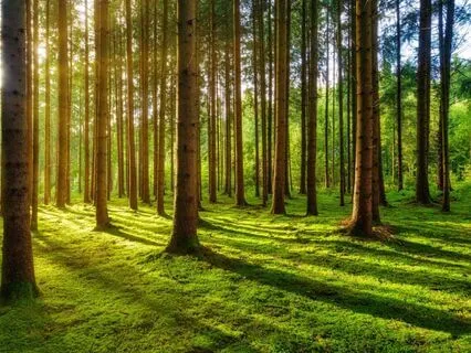 A Moment To Let Go - Meditation For Nurses (Stress Relief)