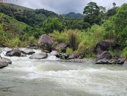 A Moment To Pause And Be Present