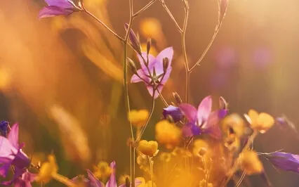 A Moment To Take A Breath