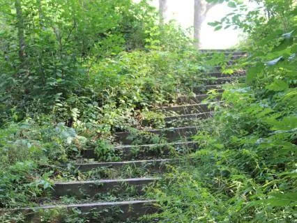 A Moment To Transition