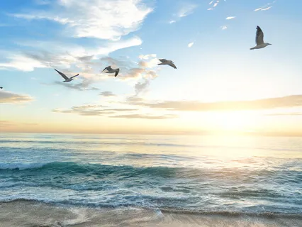 A Monk & Meditator Are One & The Same-Gita