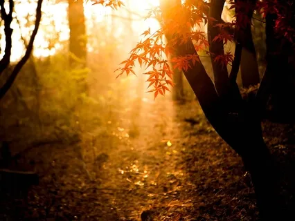 A Morning Dose Of Self-Love