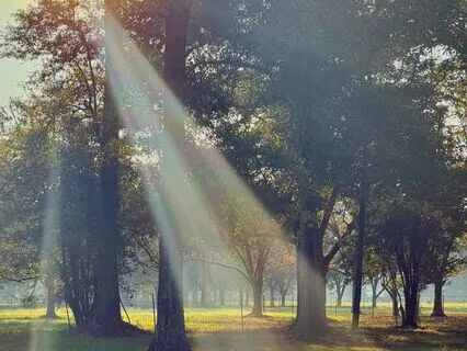 A Morning For You, Beautiful Soul