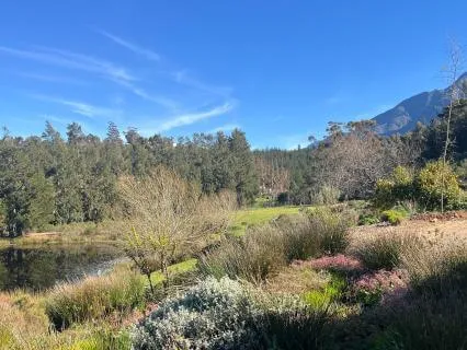 A Morning Gratitude Practice To Bring You Peace
