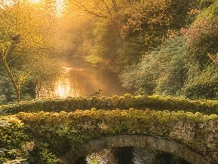 A Morning Harvest Of Gratitude