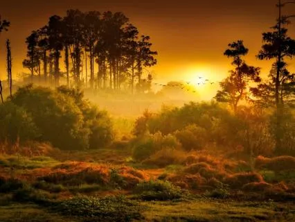 A Morning Meditation For Energy  And Focus