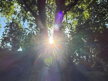 A Morning Meditation For Self-Connection And Clarity