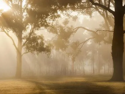 A Morning Prayer For Hope, Healing, Guidance & Strength
