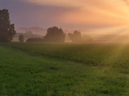 A Morning Prayer For Peace, Strength, & Guidance