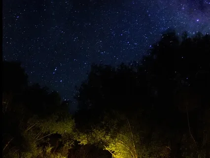 A Morning Prayer For Vitality