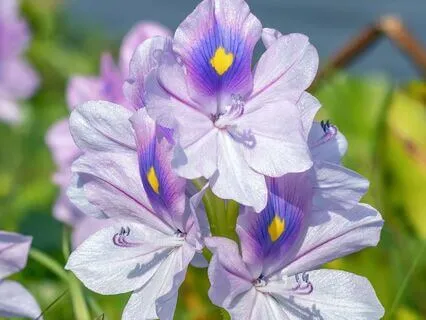 A Morning Prayer Of Gratitude In Hard Times