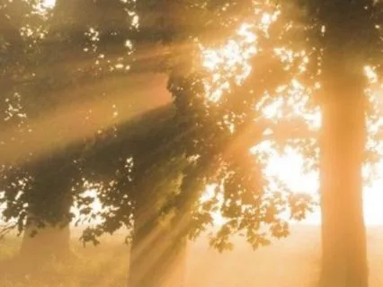 A Morning Reset Before You Scroll