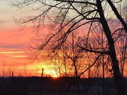 A Morning Thank You To Life