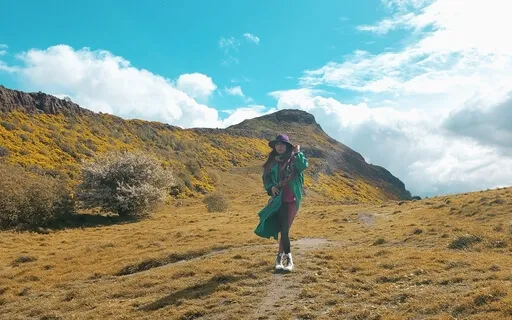 A Most Divine Lion's Gate Portal Healing Transmission