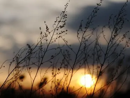 A Mother's Evening Exhale