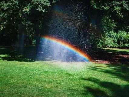 Miracles: A Contemplation