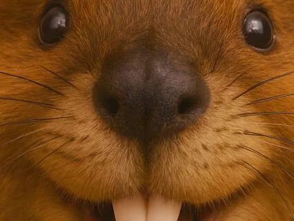 A Mysterious Encounter With Barry Beaver