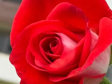 A Mystical Look And Self-will Vs Destiny