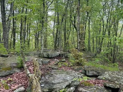 A Nature-Inspired Meditation On Universal Signs