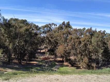 A Needed Moment Of Peace