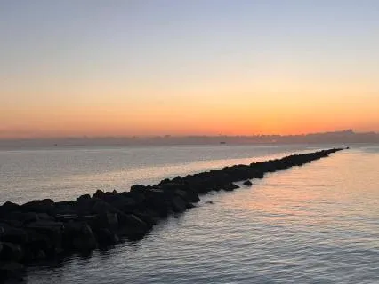 A Nervous System Reset For Trust & Safety