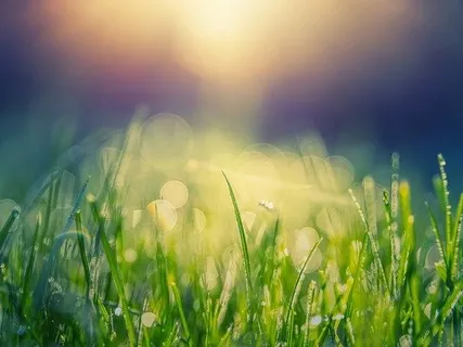 A New Beginning (31st Of December)