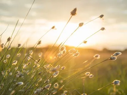 A New Beginning: I Allow My Divine Self To Shine Through