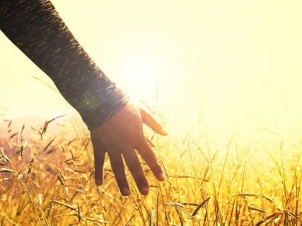 A New Dawn A New Earth - Healing Soundscape