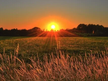 A New Day