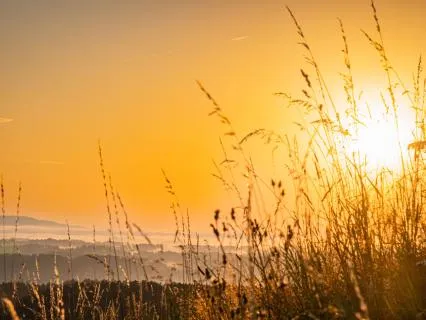 A New Day Begins Within